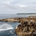 nusalavu_h_0705_2412.jpg
